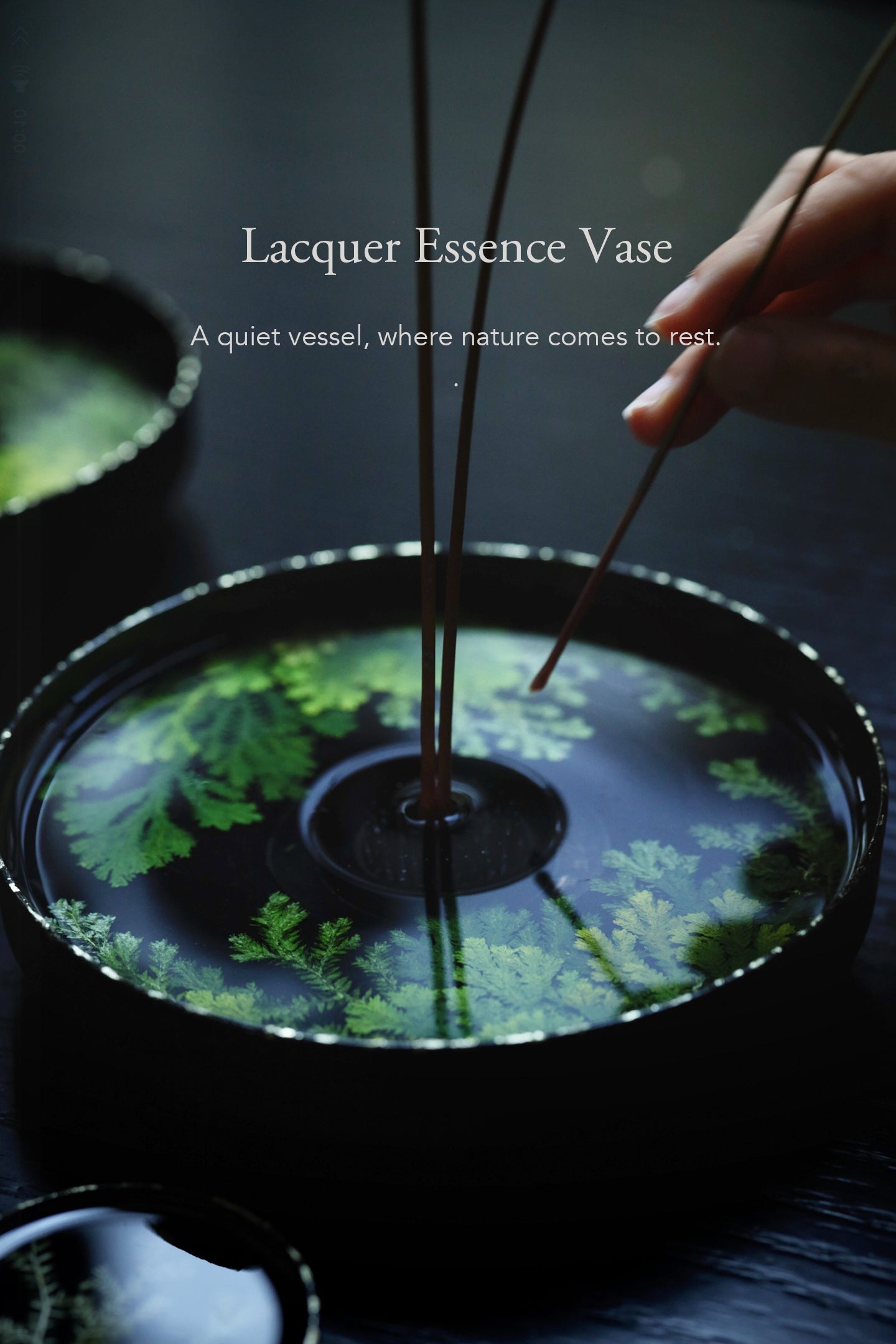 Lacquer Essence Vase — Fern Edition