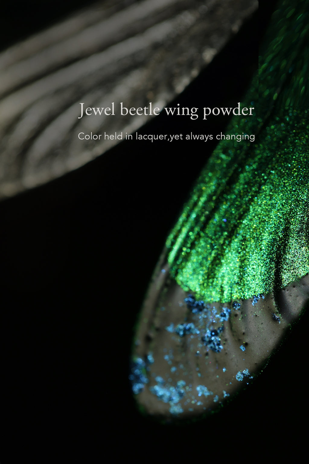 Damselfly — Copper Lacquer Brooch