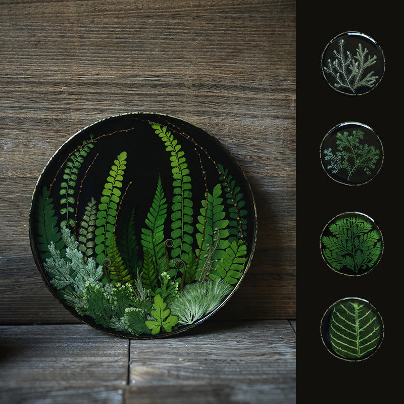 Lacquer Essence Plate — Fern Edition