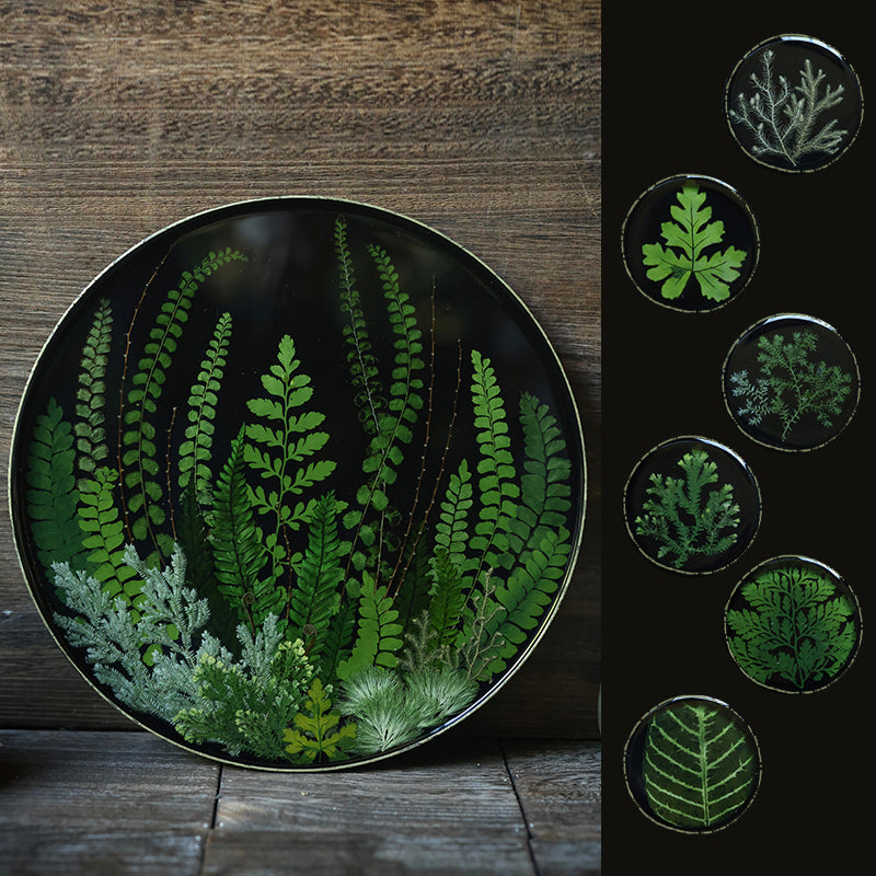 Lacquer Essence Plate — Fern Edition
